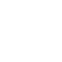 logo_blau_weiss_mannheim_weiss
